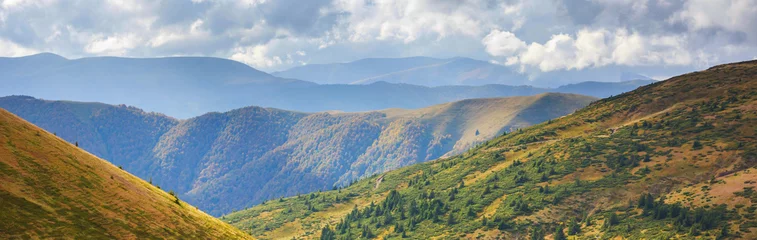 Foto op Canvas Carpathian mountains panorama © Galyna Andrushko