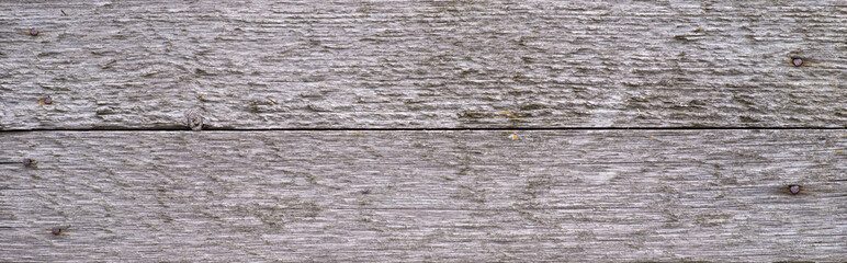 wood plank wall texture panorama