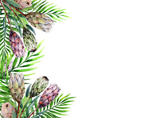 Frame made of tropical palm leaves and protea flowers. Botanical composition of exotic plants on a white background. Hand drawn watercolor for cards, wedding invitations, postcards, print, banner.
