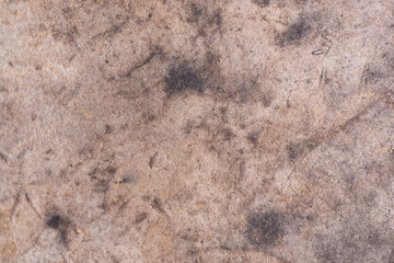 brown texture background. old, grunge texture