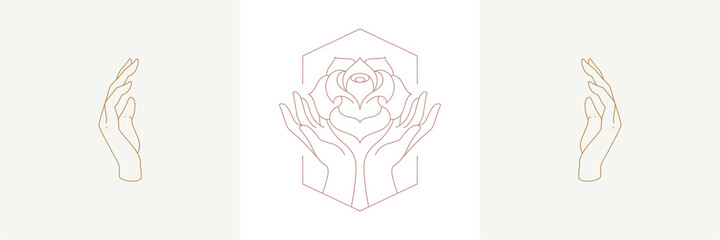 Palms holding rose flower and hands in boho linear style vector illustrations set.