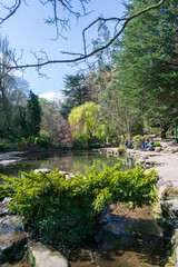 Fototapeta na wymiar spring in the park