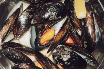 group of steamed mussels top view