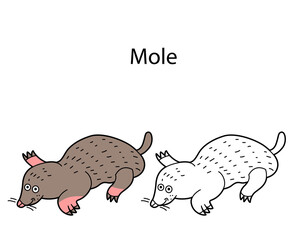 Funny cute animal mole isolated on white background. Linear, contour, black and white and colored version. Illustration can be used for coloring book and pictures for children