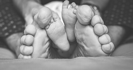 Male and children's feet on a  bed. Parent and child. Baby feet. Black and white photo