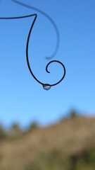 proporci&oacute;n aurea