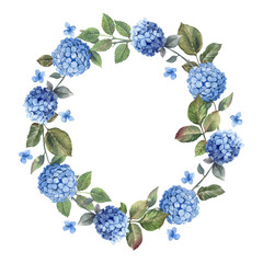 Wreath and blue hydrangea with leaves on white background. Watercolor shabby style flowers. - 430356092