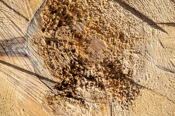 sawn wood texture