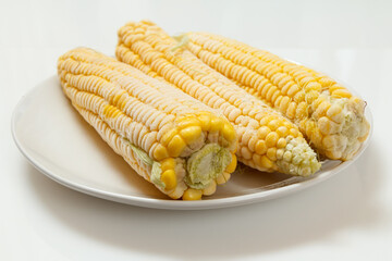 Plate with frozen corn on plate with white background