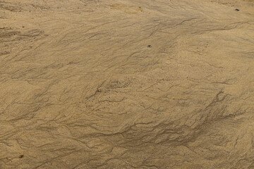 sand ripples in the sand