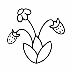 Blooming strawberries on twig. Vector illustration in style of child  doodle.