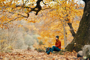 woman with backpack in autumn forest sitting near tree landscape fresh air park