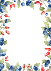 Decorative card frame with copy space. Watercolor hand painted summer berries