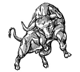 Bull Rage Front View, Hand Drawn Shaded Illustration