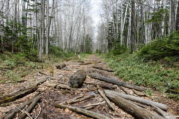 糠平湖タウシュベツ橋梁への道のり（上士幌町／北海道）	