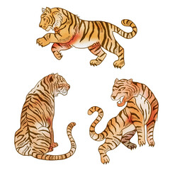 Watercolor Tigers Isolated Decorative Elements Set