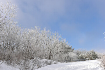 Obraz premium Winter snow-covered landscape of Taegisan Mountain, South Korea