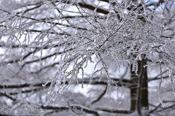 Winter snow-covered landscape of Taegisan Mountain, South Korea