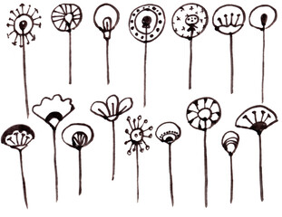 Hand drawn set of graphic minimalist ethnic flowers. Simple monohrome vector illustration of flowers and branches for desing.