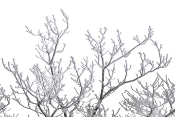 Fototapeta na wymiar Winter snow-covered landscape of Taegisan Mountain, South Korea