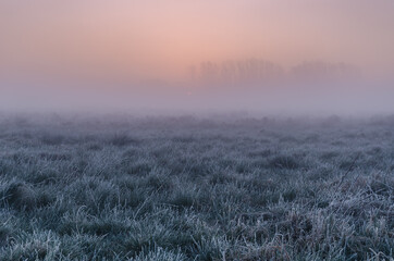 MISTY SUNRISE - A picturesque morning over the meadows