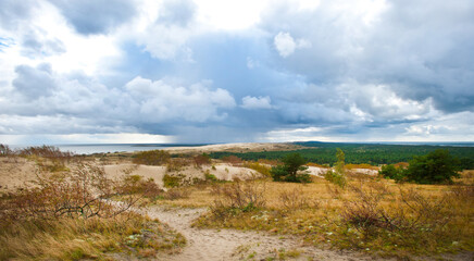 Fototapeta na wymiar Landscape of dune and forest with raincloud forming