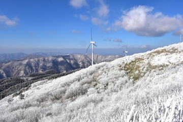 Winter snow-covered landscape of Taegisan Mountain, South Korea
