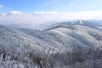 Winter snow-covered landscape of Taegisan Mountain, South Korea