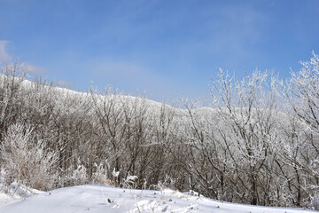 Winter snow-covered landscape of Taegisan Mountain, South Korea