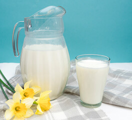 A jug with fresh milk and a glass, a tablecloth, a yellow bouquet of daffodils flowers on a blue background. Breakfast in the village. Healthy and delicious breakfast. copy space for text