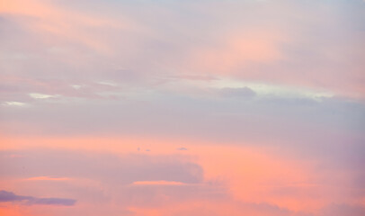 Pink clouds in the beautiful summer sunset  sky (background)