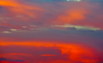 Beautiful pink clouds in the summer sunset sky (background)