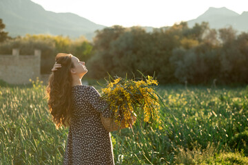 Beautiful yellow mimosa flowers in wicker box in hands of young woman on sunset nature background