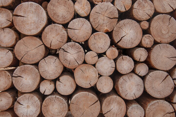 pile of naturial log round teak wood tree stump texture background pattern use for interior wall decoration