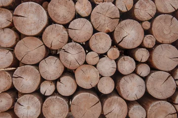 Printed roller blinds pile of naturial log round teak wood tree stump texture background pattern use for interior wall decoration