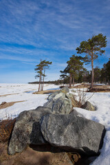 Stone boulder in the foreground and pine trees on the background of snowLake Baikal under the blue sky.