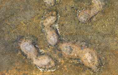 footprint of a man on white sand