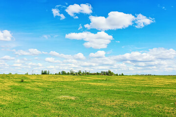 summer landscape field top view drone, abstract landscape view in flight