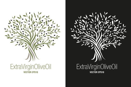 Olive Tree. Extra virgin olive oil symbol. Symbol of culture and Mediterranean food isolated on white background