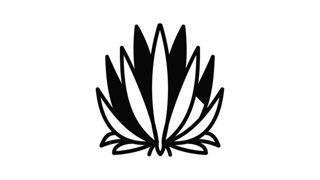 Succulent icon animation outline best object on white background