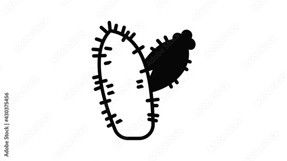 Poster botany cactus icon animation outline best object on white background