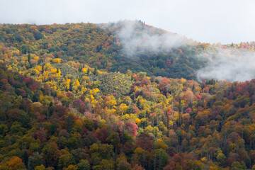 Fototapeta premium Fall mountain with colored leaves and clouds