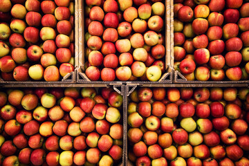 Top view of delicious tasty apple fruit in the market ready for sale.