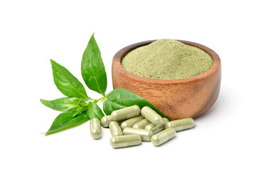 Andrographis paniculata capsules with powder in wooden bowl and fresh leaf isolated on white...