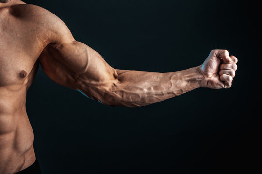 Muscle Arm Images – Browse 368,983 Stock Photos, Vectors, and
