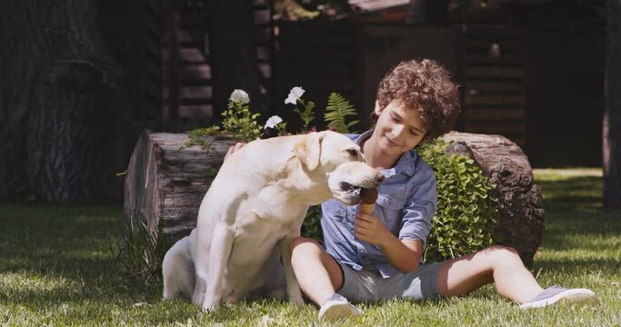 Cute curly boy feeding labrador dog with chocolate ice-cream, sitting together on grass at summer park, slow motion