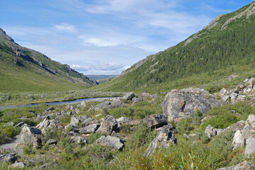Fototapeta na wymiar Denali National Park rugged landscape with boreal forest, mountains and lakes, Alaska, United States