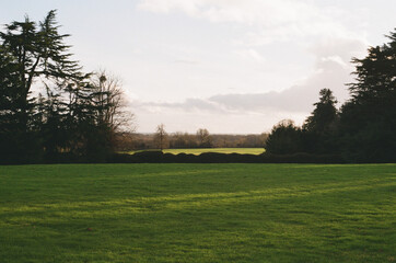 view over lawn shot on film
