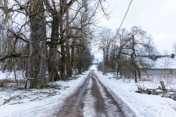 beautiful road in a small town