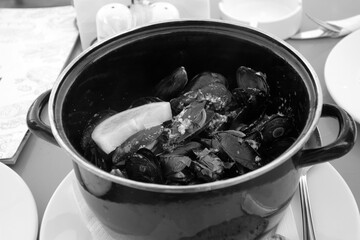 Cooked musseles in white wine in black and white.